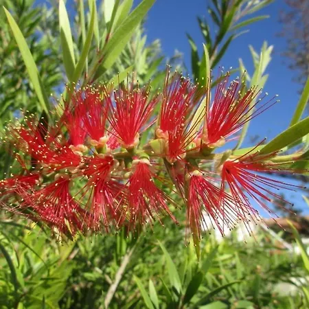 Vakantiehuis Casa De Sonrisa *