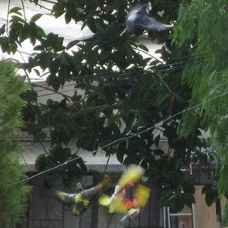 Vakantiehuis Casa De Sonrisa *