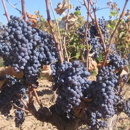 Vakantiehuis Casa De Sonrisa *